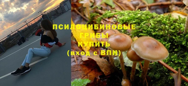 ПСИЛОЦИБИНОВЫЕ ГРИБЫ Абинск