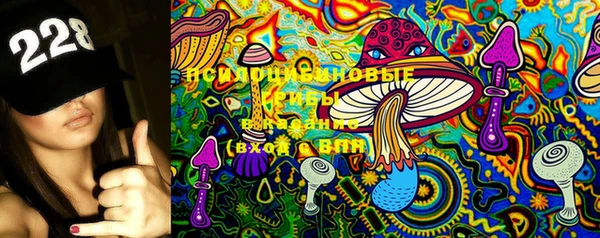 ПСИЛОЦИБИНОВЫЕ ГРИБЫ Абинск
