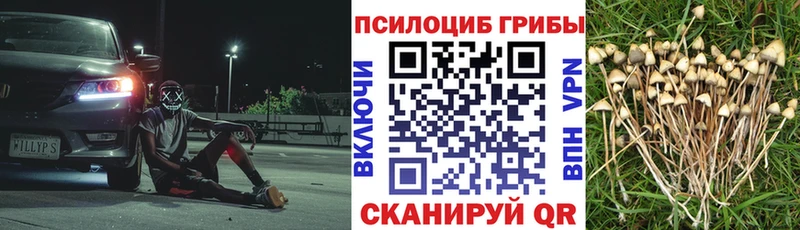 Галлюциногенные грибы GOLDEN TEACHER Щучье